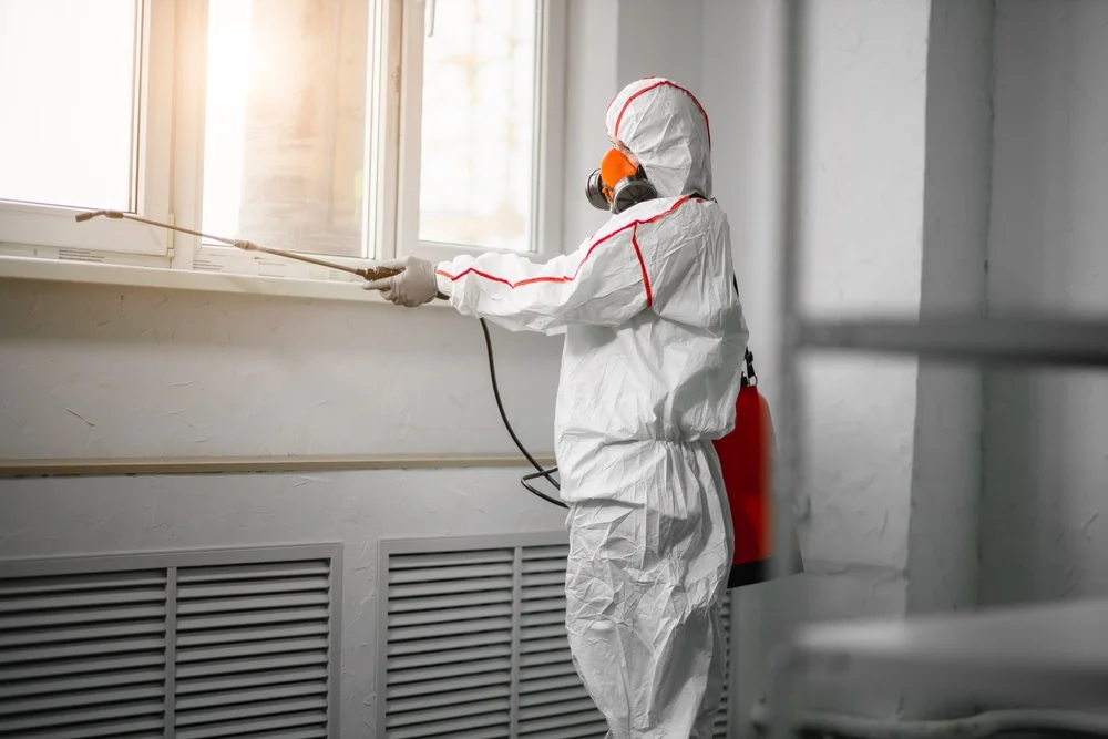 Professional mold remediation services in Bothell, WA